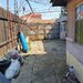 Voluntari, centru Nicolae Iorga, strada lata, verde, trotuare, Primarie,